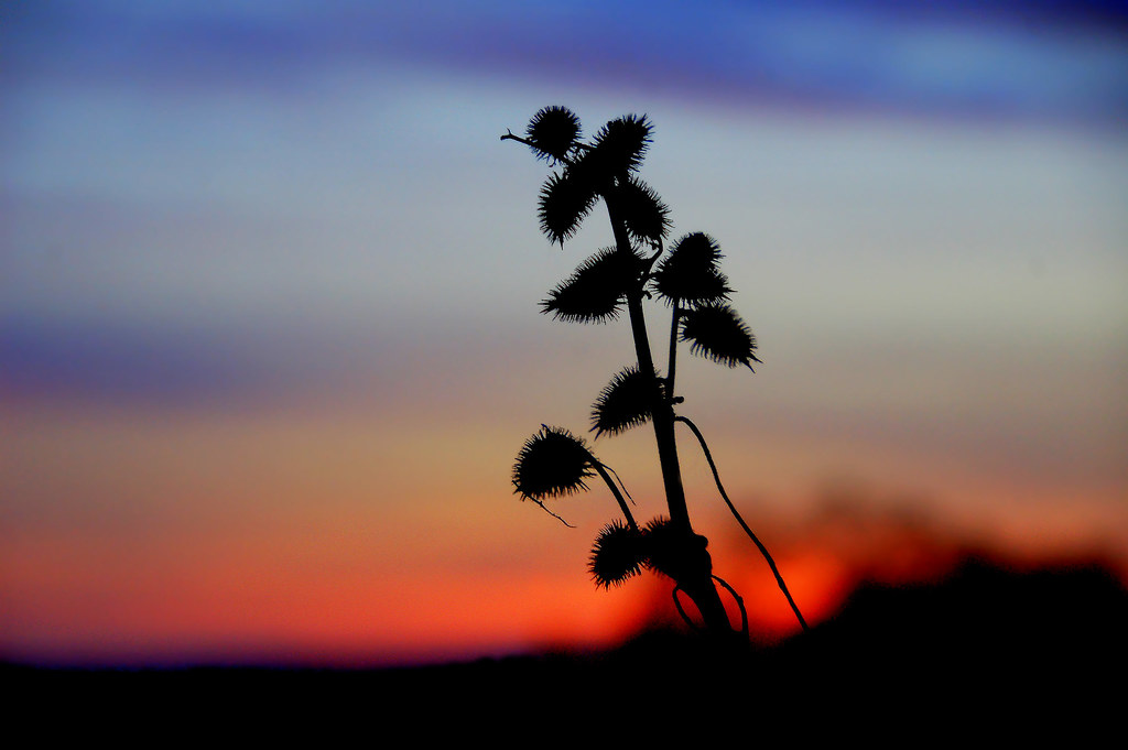 Una carta de esperanza a quienes ya la perdieron