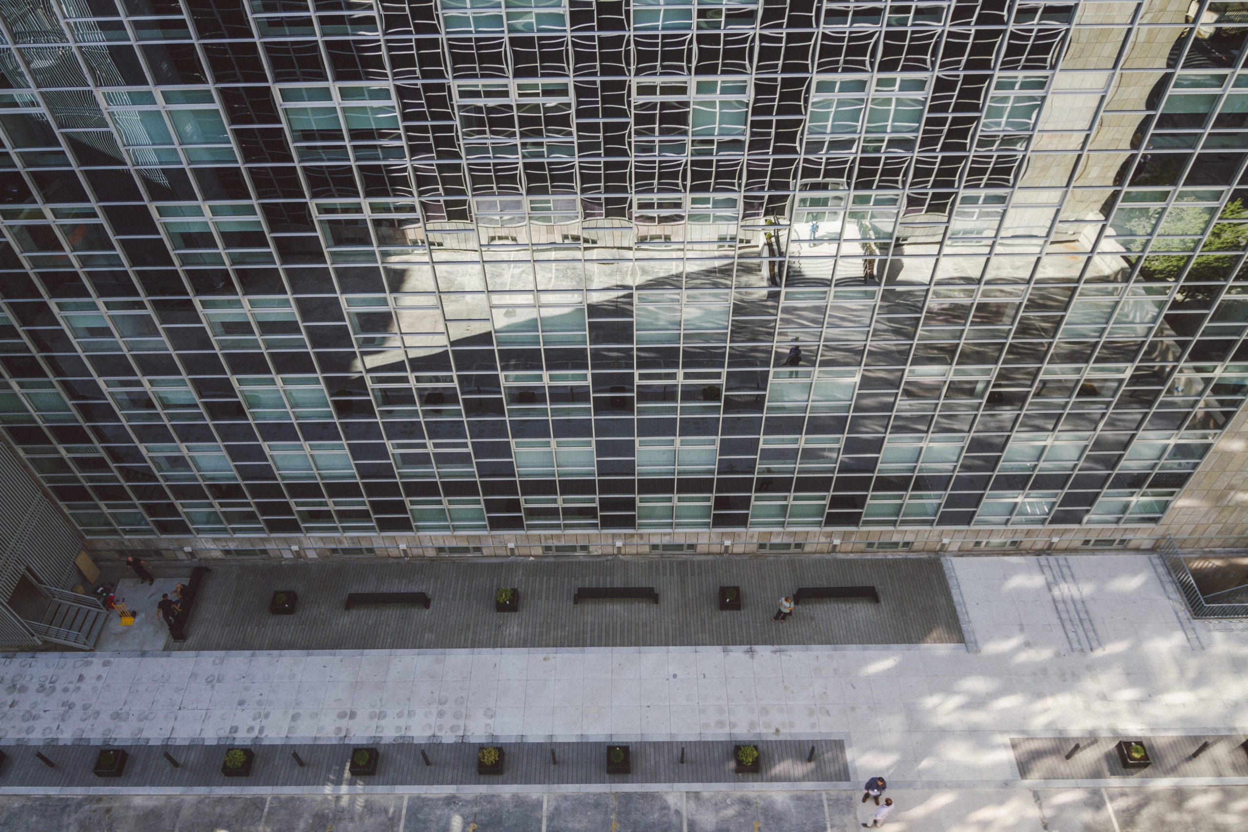 BY-LAWS of the IEU Student Government