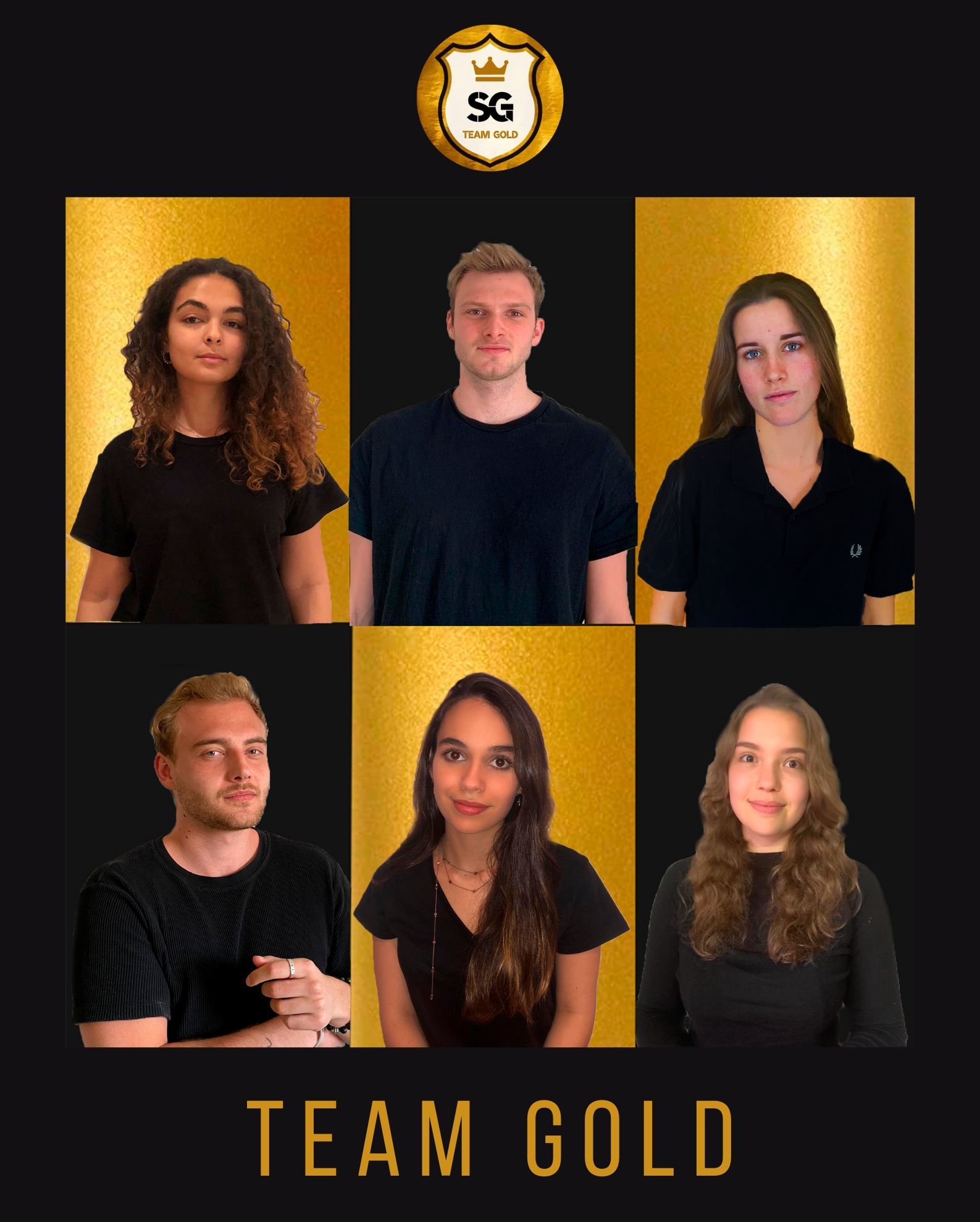 Gold Team : SG Election Profile