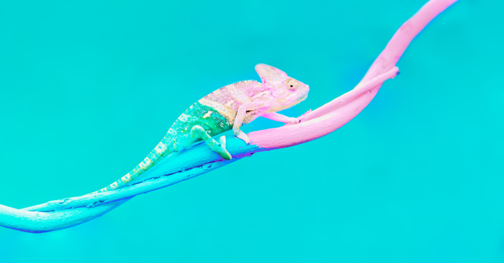 Brave New Life: A Manual