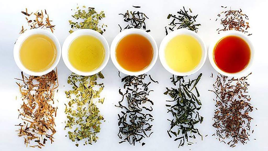 A Beginner’s Guide to Tea
