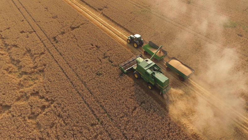 Time’s up: The Relationship between COVID, Veganism and Environmental Destruction