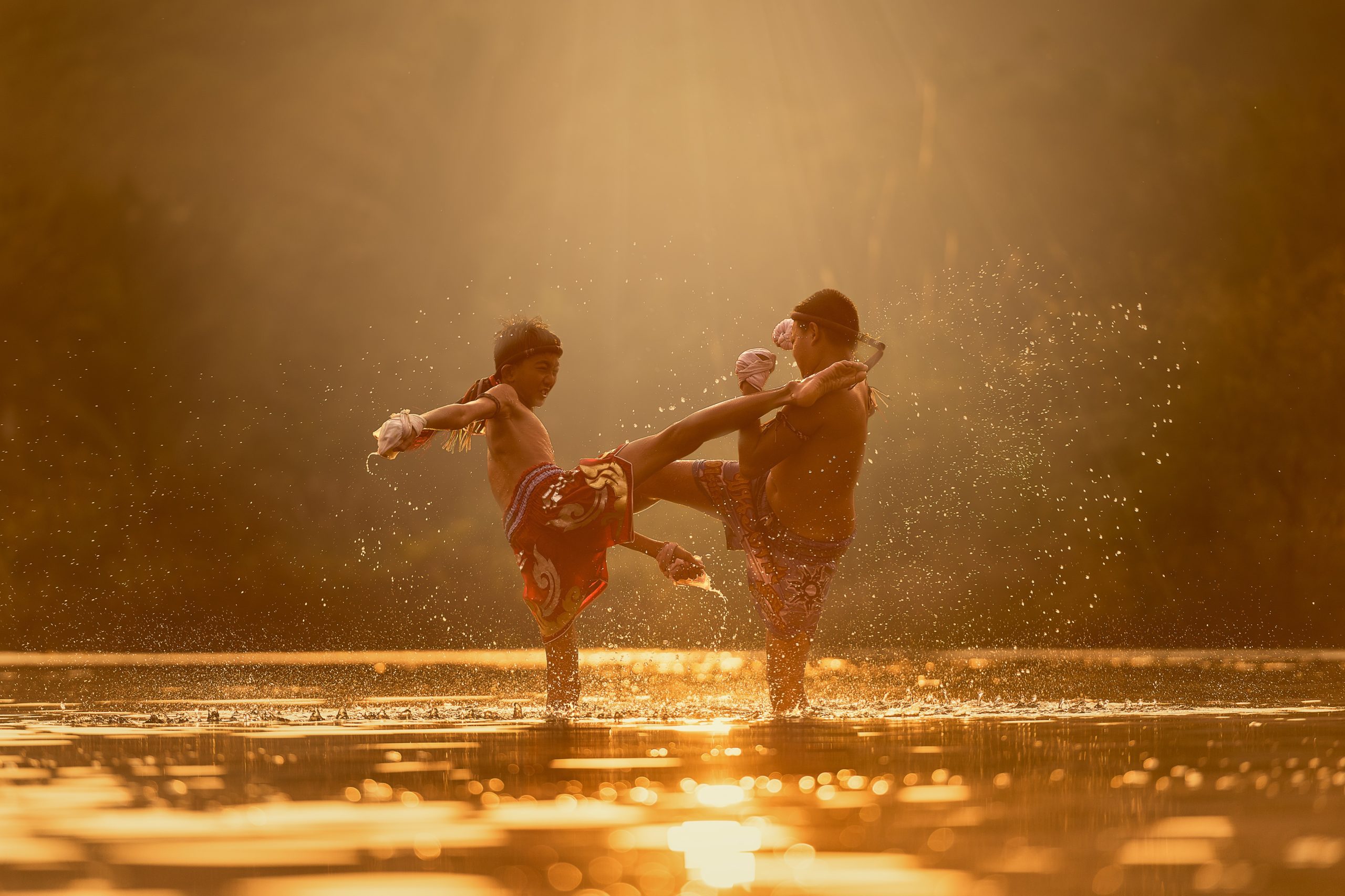 The Way of the Fighter – Martial Arts as the Ultimate Path to Growth