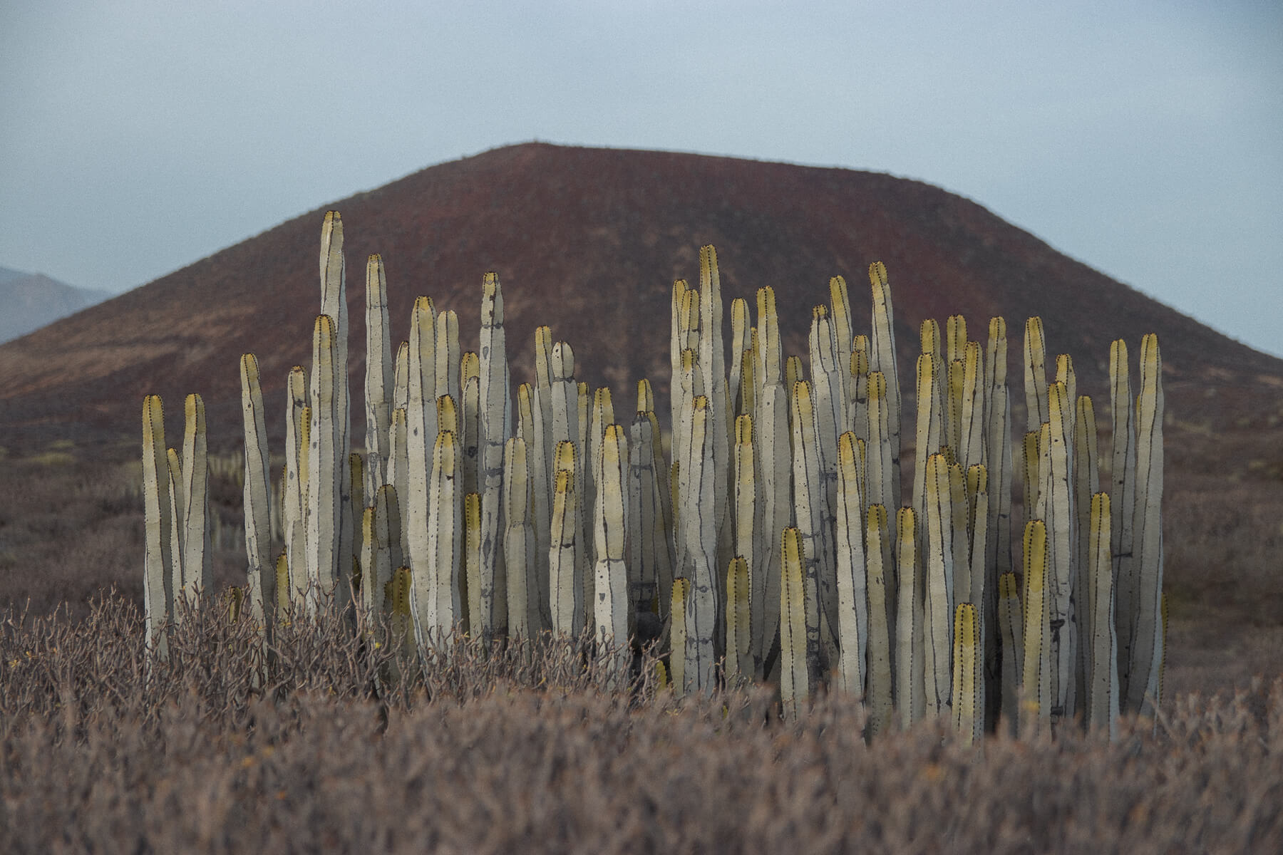 Coming Up: The IE Foundation Prizes in the Humanities