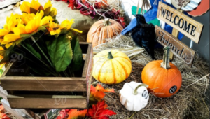 Welcoming Fall With Open Arms: Four Recipes for a Festive Dinner