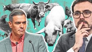 ¿Cómo de mala es la carne española? El problema que nadie se atreve a tratar