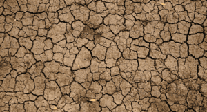 It’s Time to Focus on Adaptation