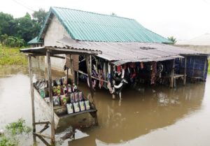 Nigeria Devastated by Worst Floods in a Decade