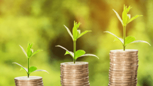 Buyer, BeWare: <em>The Dangers of Greenwashing</em>