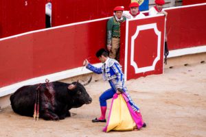 The Inhumanity of Spain’s Most Iconic Pastime: Bullfighting