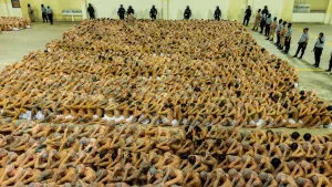 Controversial Salvadoran Solution to Gang Violence