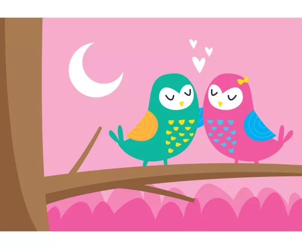 Two Owls Fall In Love