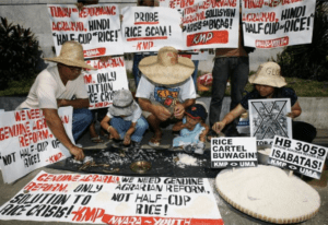 Rice: Climate Change’s Victim & Perpetrator