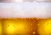 Madrid’s Craft Beer Odyssey: A Guide