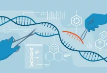 CRISPR’s Breakthrough in Gene Therapy