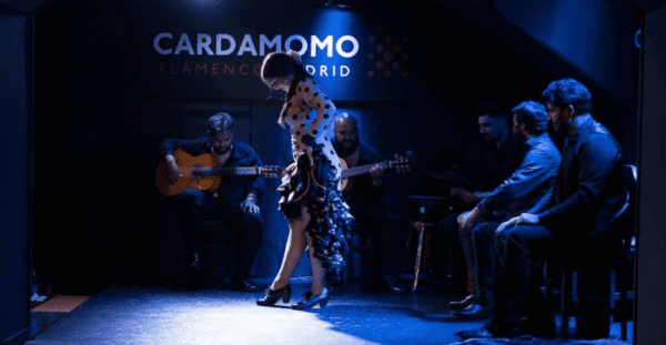 Cultural Flamenco Show
